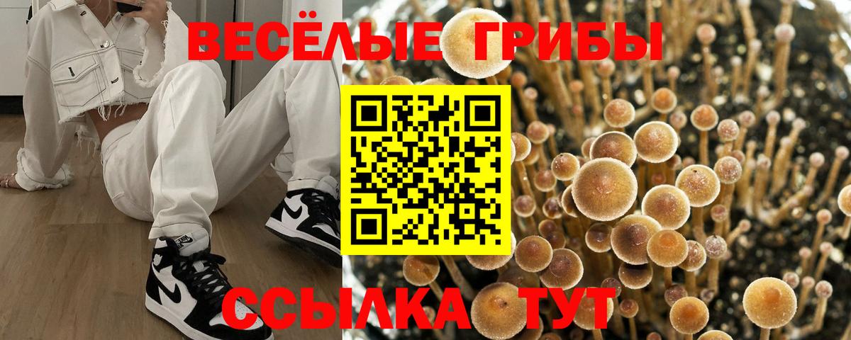 Кольчугино  Галлюциногенные грибы Magic Shrooms  Вход с VPN 